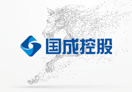 陕西国成投资控股有限公司